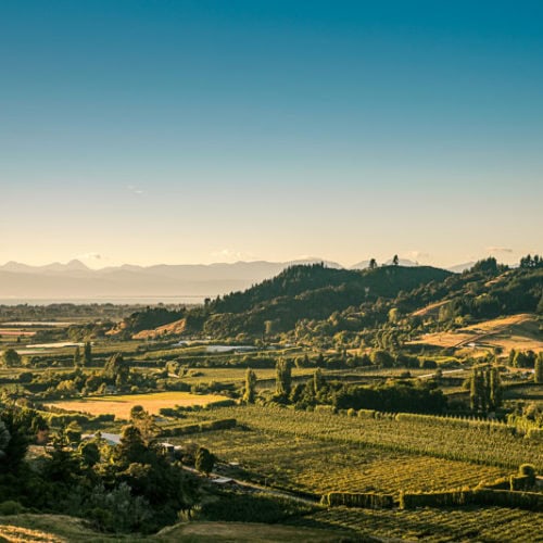 Birdhurst Orchards located in the Tasman region of New Zealand