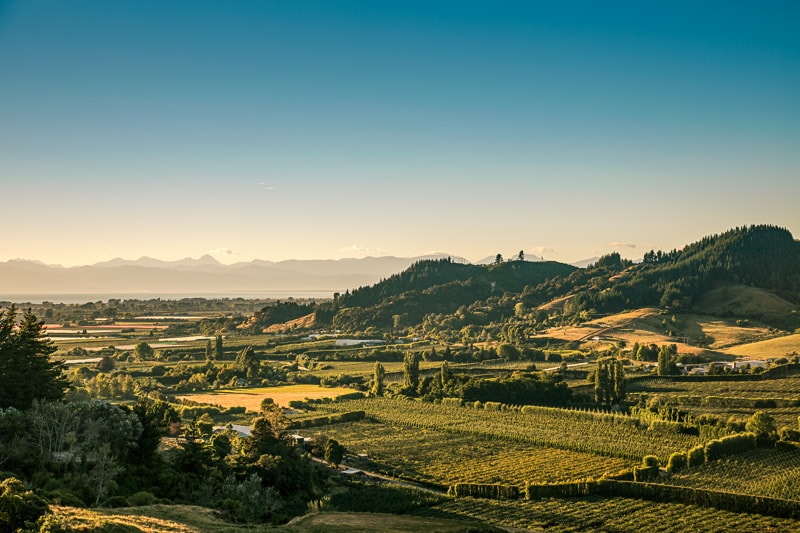 Birdhurst Orchards located in the Tasman region of New Zealand