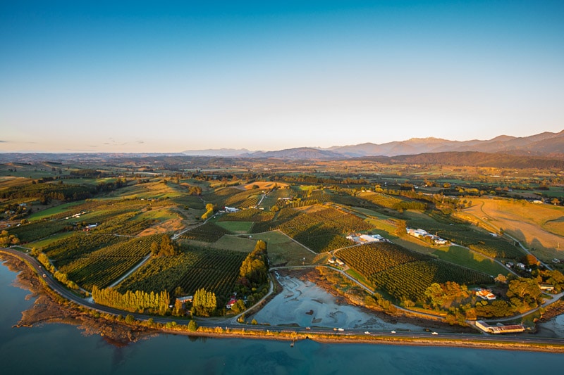 Birdhurst Orchards located in the Tasman region of New Zealand
