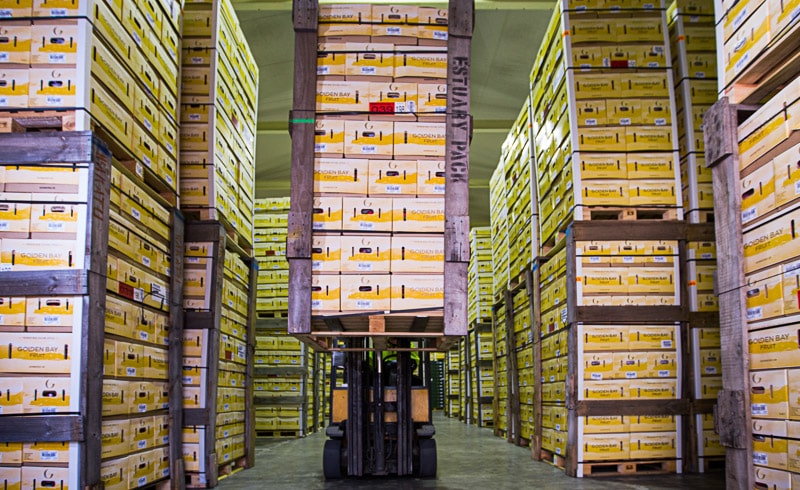 Golden Bay Fruit - Packing and exporting in teh Tasman Region of New Zealand
