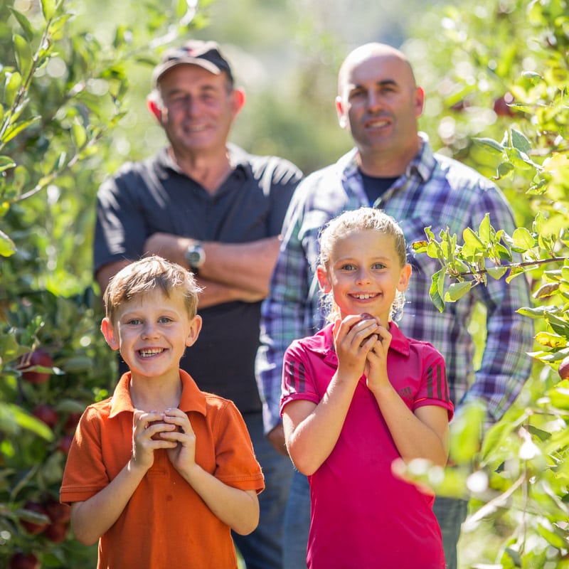 Birdhurst Orchards - A multi-generation family run orchard and packing business located in Motueka, New Zealand.
