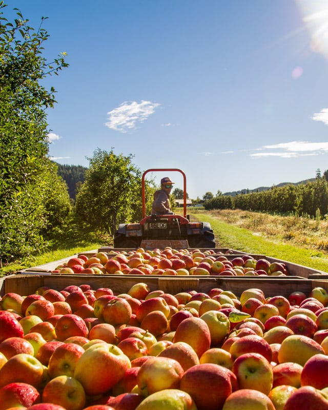 Contact Birdhurst Orchards - Employment opportunities