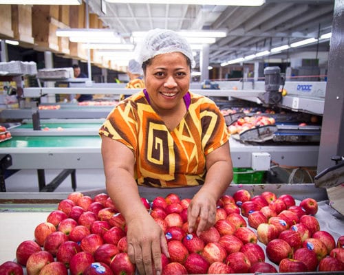 Birdhurst Orchards - Apple Packing - Work with Us